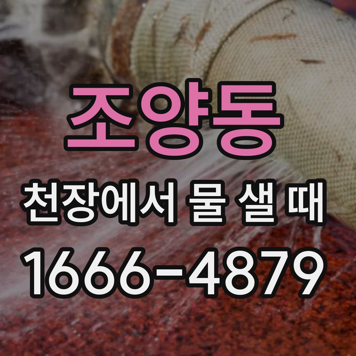 조양동 천장에서 물 샐 때