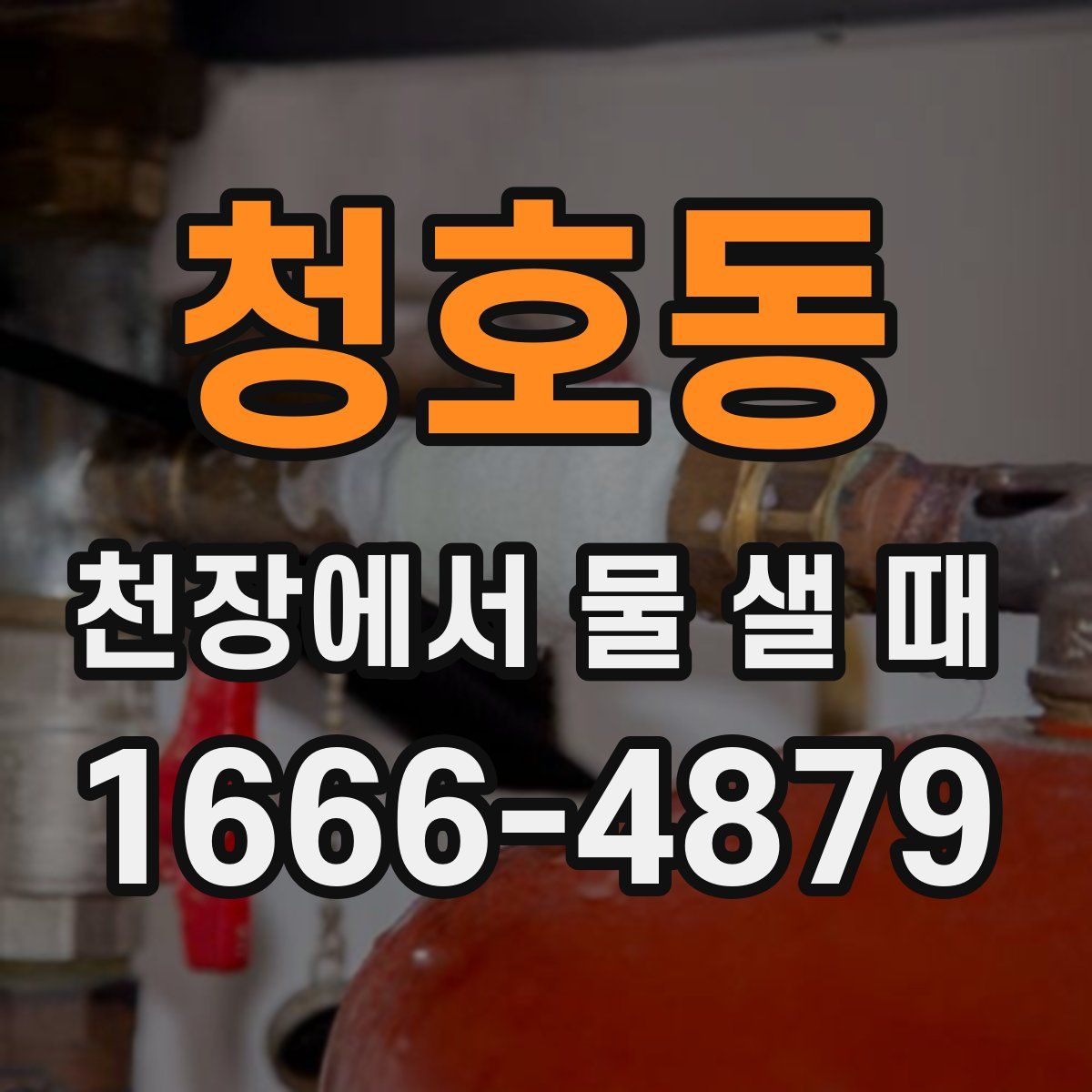 청호동 천장에서 물 샐 때