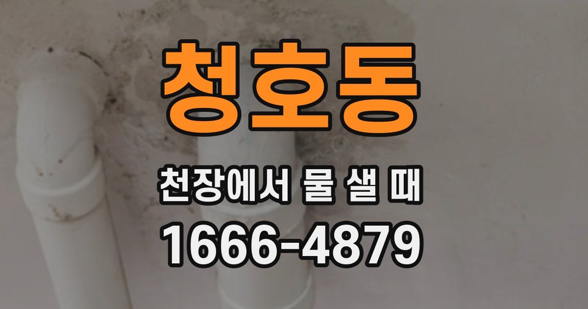청호동 천장에서 물 샐 때