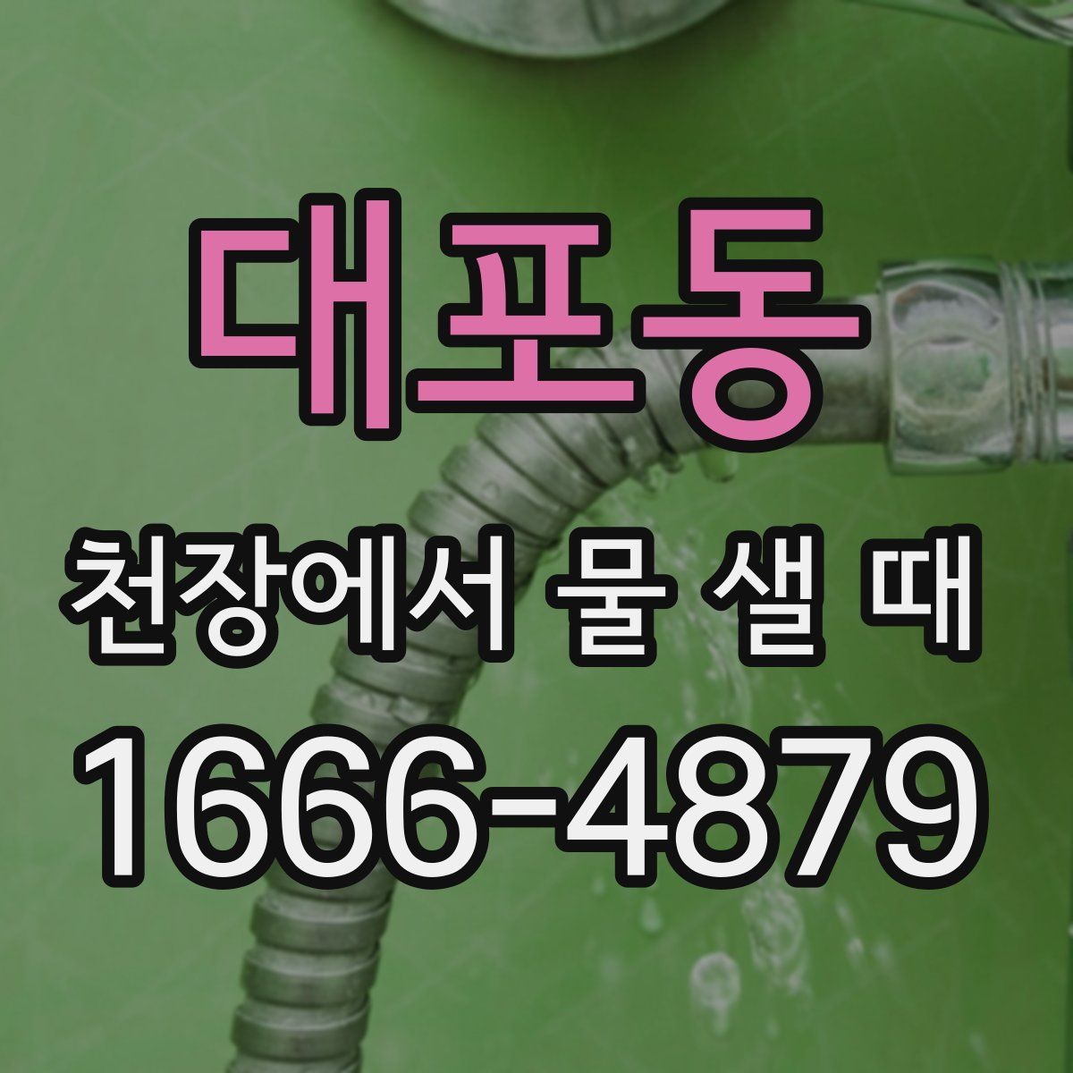 대포동 천장에서 물 샐 때
