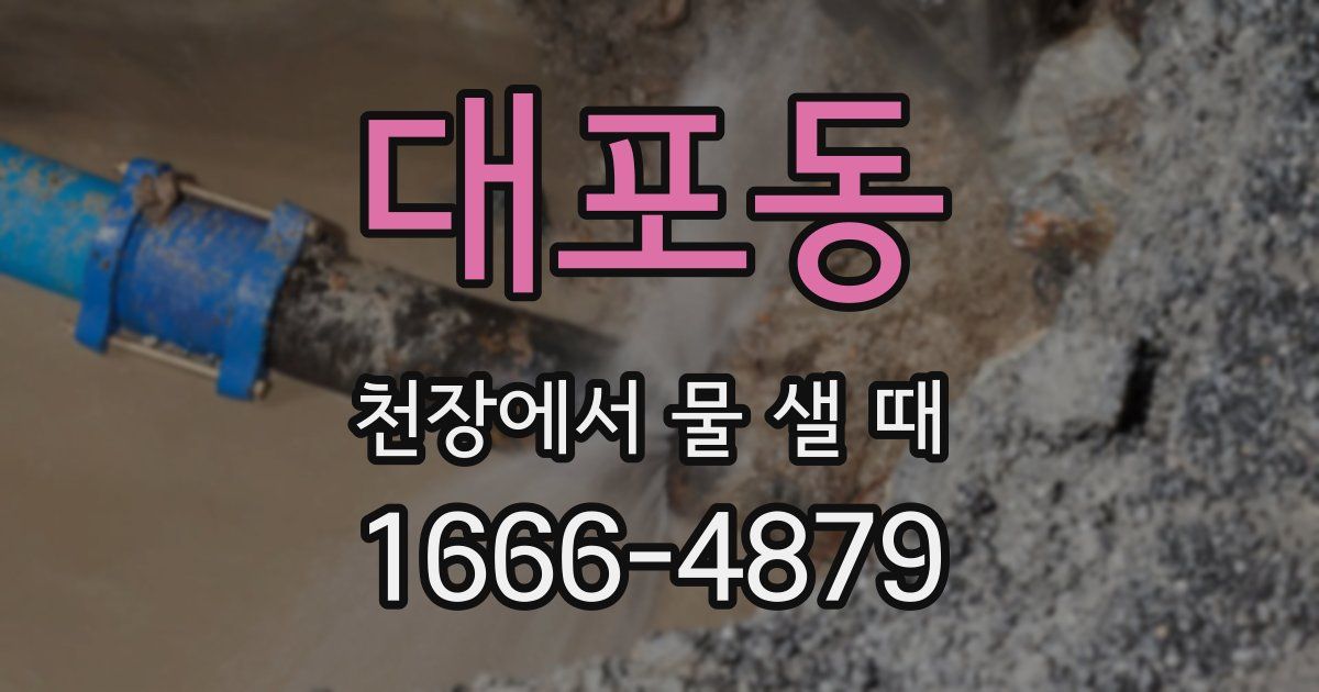 대포동 천장에서 물 샐 때