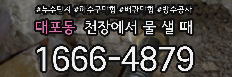 대포동 천장에서 물 샐 때