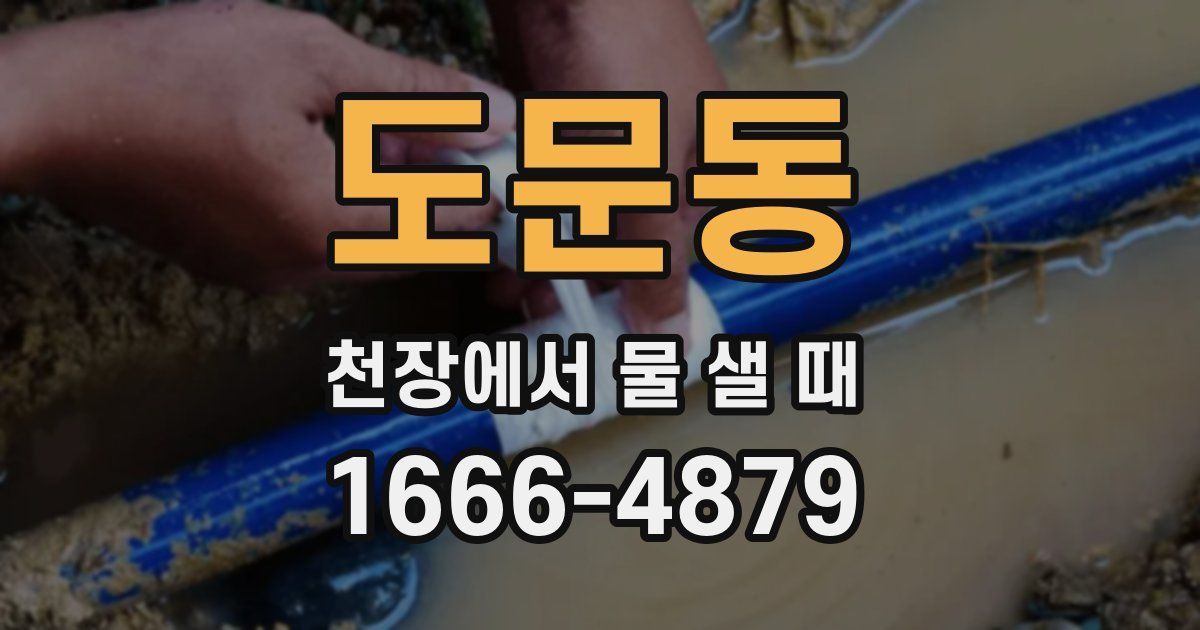 도문동 천장에서 물 샐 때
