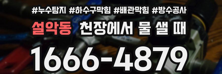 설악동 천장에서 물 샐 때