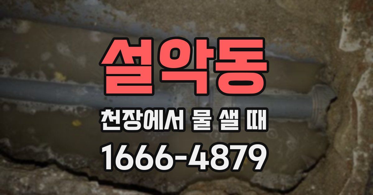 설악동 천장에서 물 샐 때