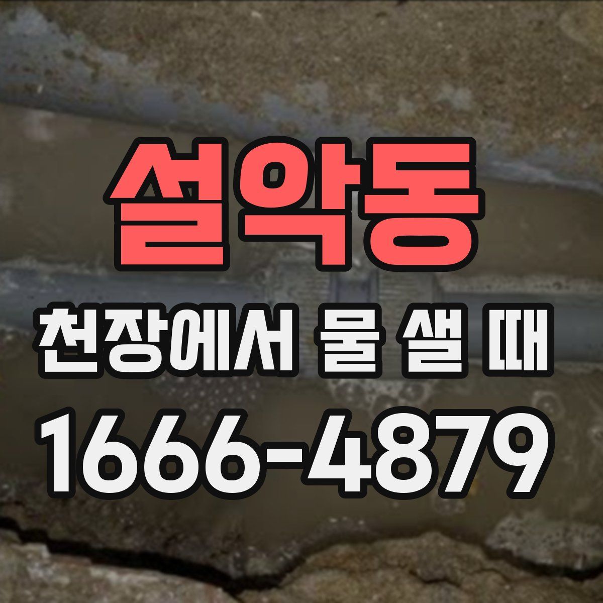설악동 천장에서 물 샐 때