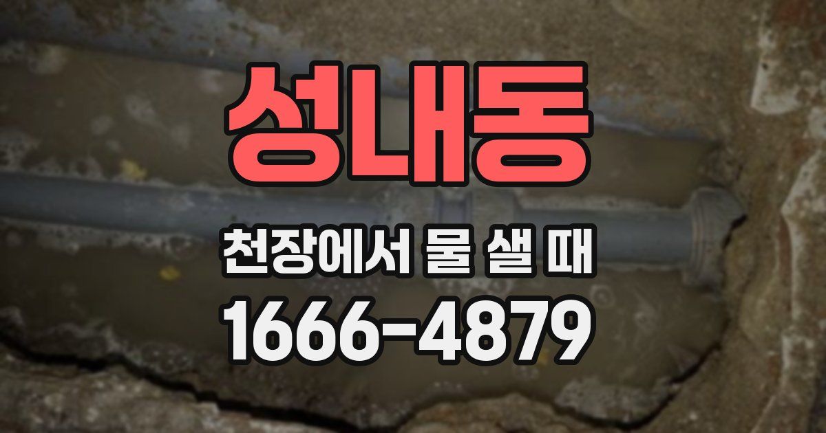 성내동 천장에서 물 샐 때