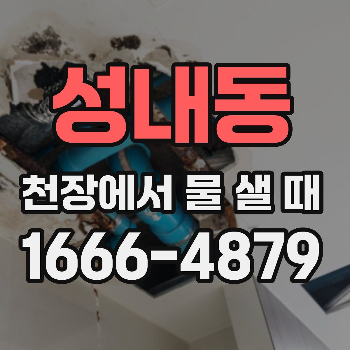 성내동 천장에서 물 샐 때