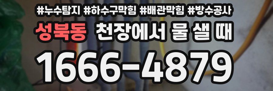 성북동 천장에서 물 샐 때