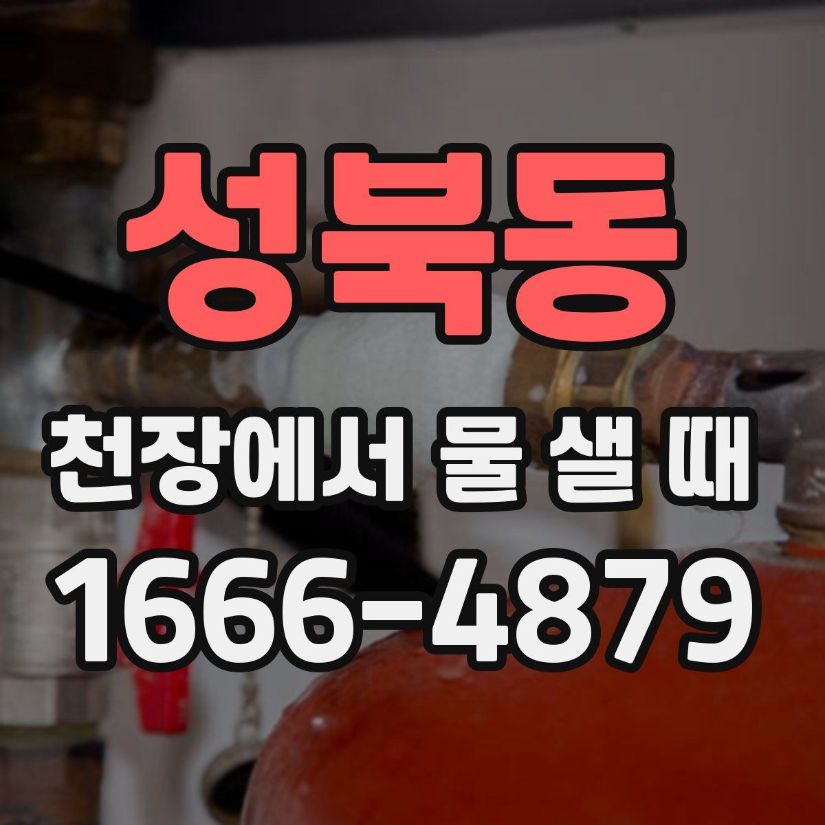 성북동 천장에서 물 샐 때