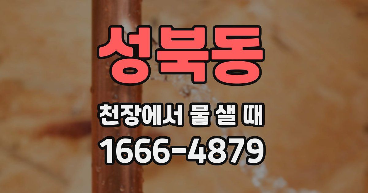 성북동 천장에서 물 샐 때