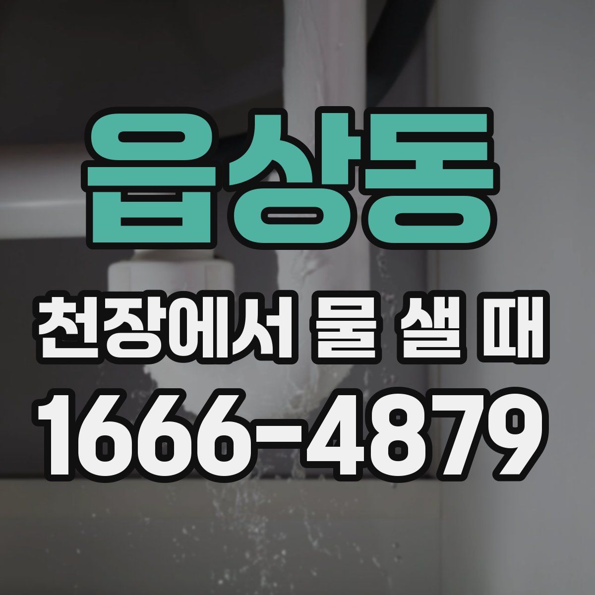 읍상동 천장에서 물 샐 때