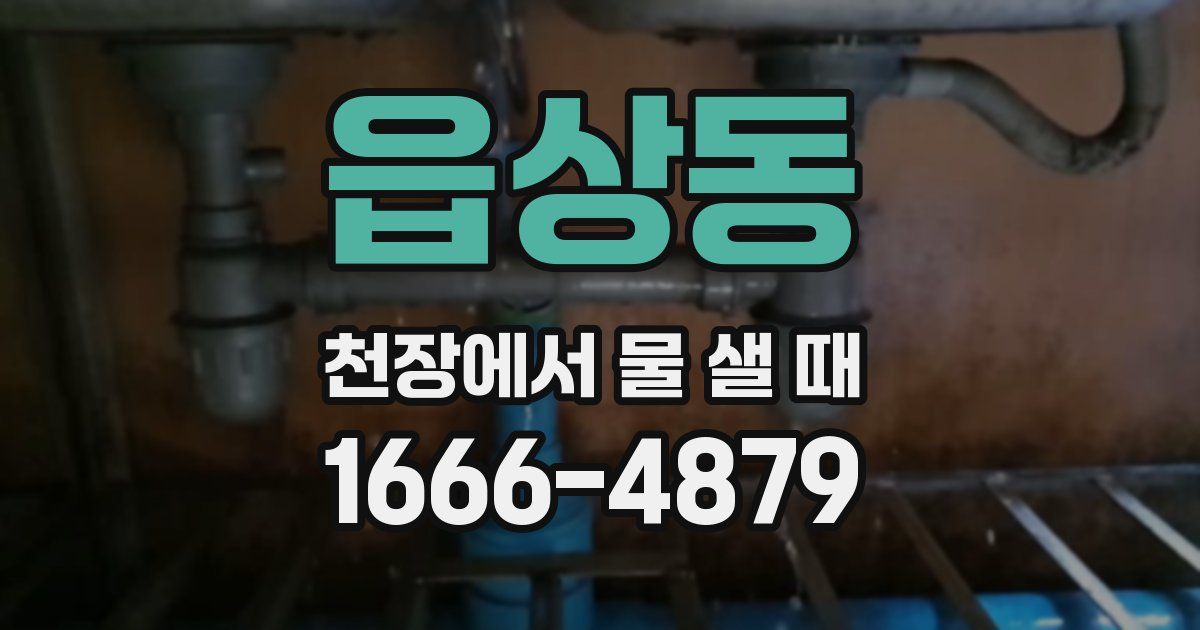 읍상동 천장에서 물 샐 때