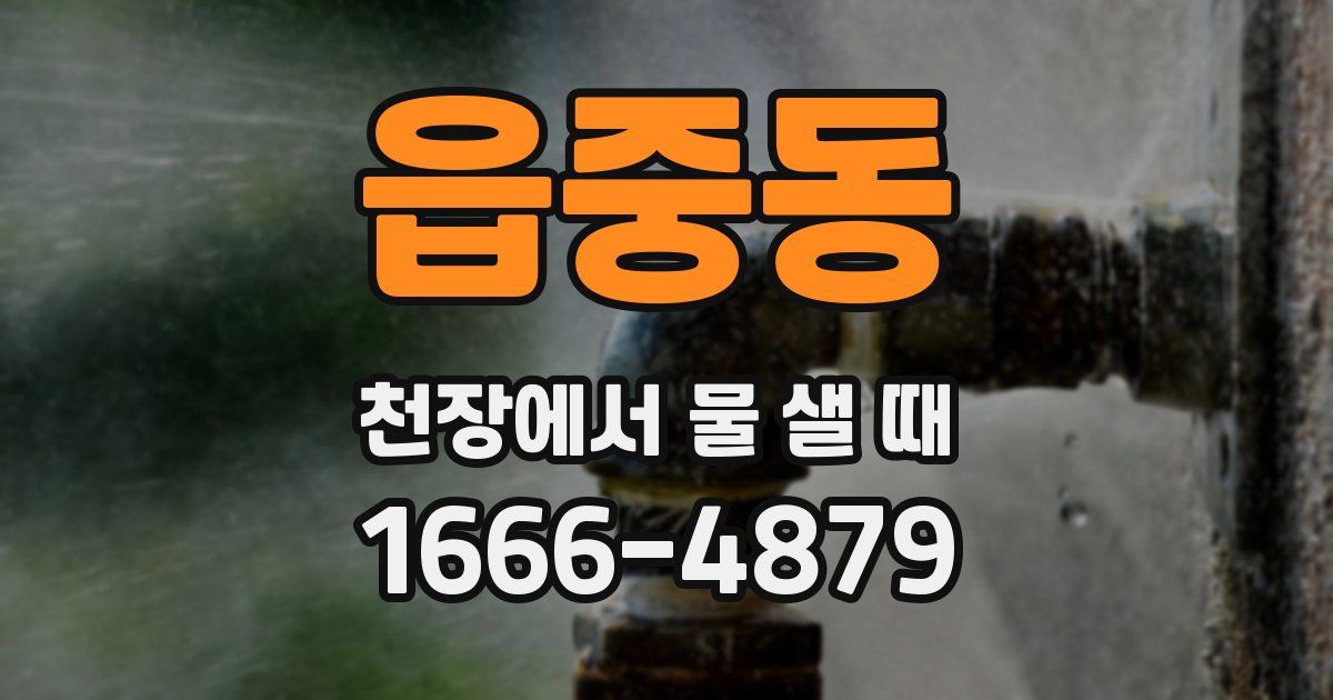 읍중동 천장에서 물 샐 때