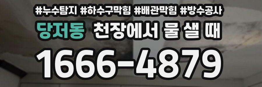 당저동 천장에서 물 샐 때