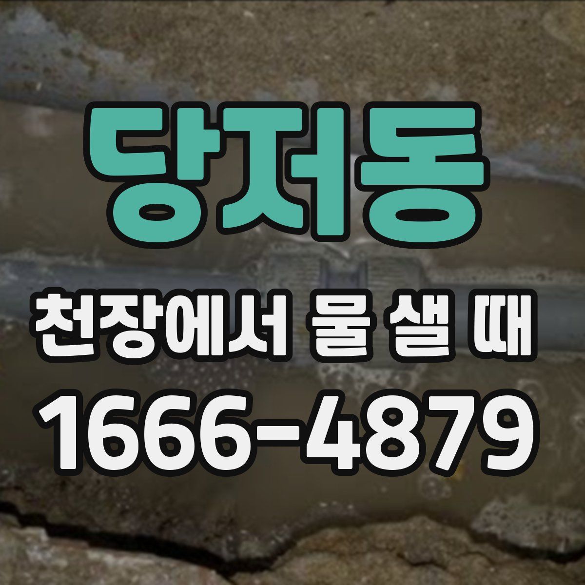 당저동 천장에서 물 샐 때