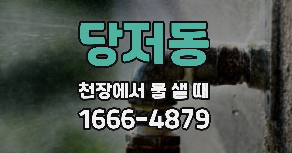 당저동 천장에서 물 샐 때