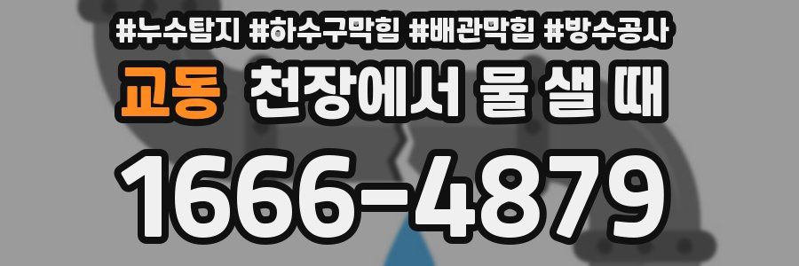 교동 천장에서 물 샐 때