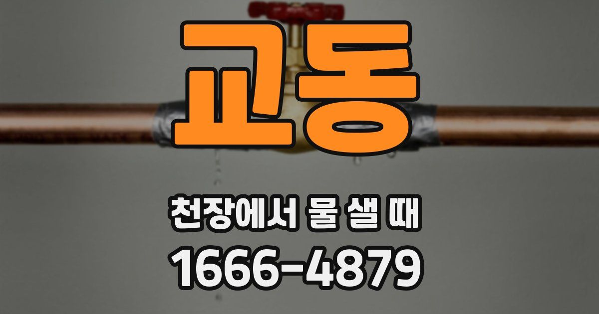 교동 천장에서 물 샐 때