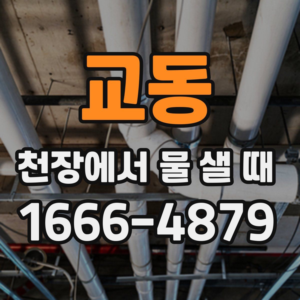 교동 천장에서 물 샐 때