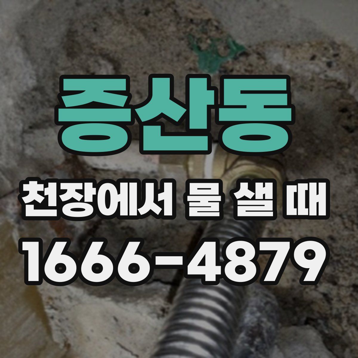 증산동 천장에서 물 샐 때