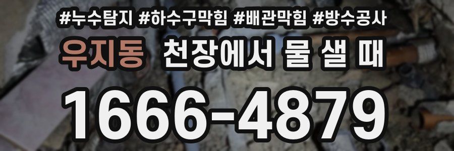 우지동 천장에서 물 샐 때