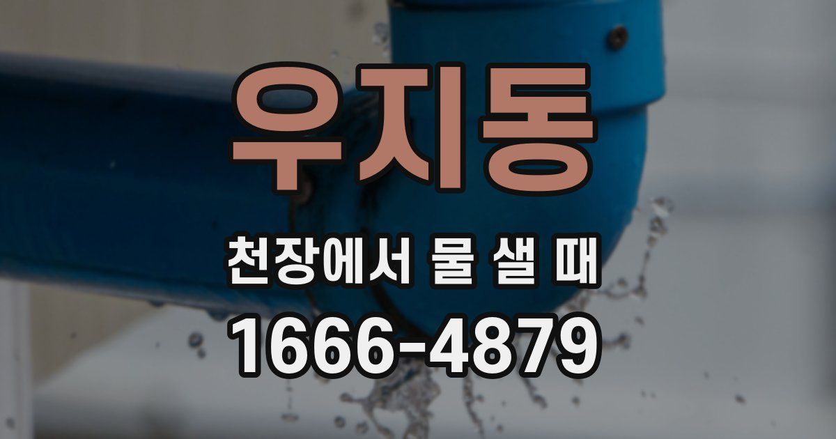 우지동 천장에서 물 샐 때