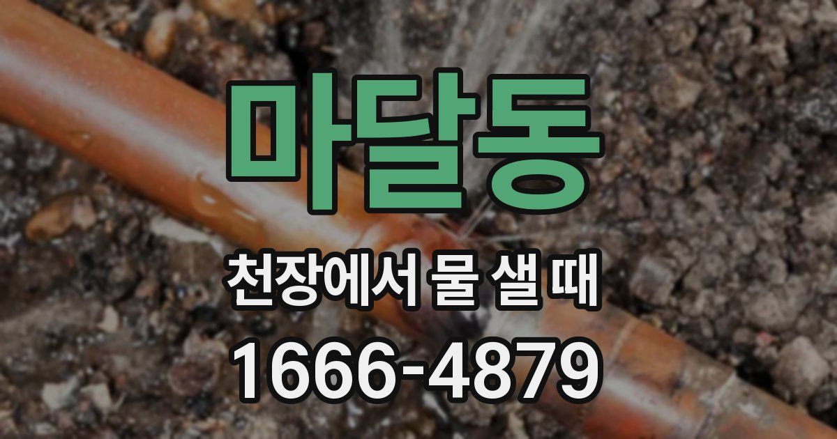 마달동 천장에서 물 샐 때