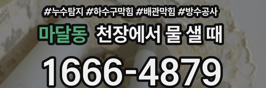마달동 천장에서 물 샐 때