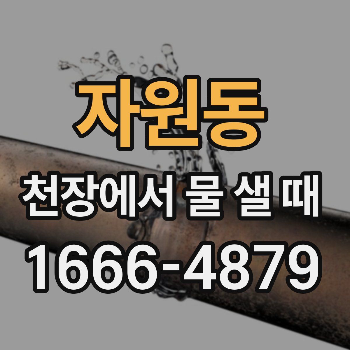 자원동 천장에서 물 샐 때