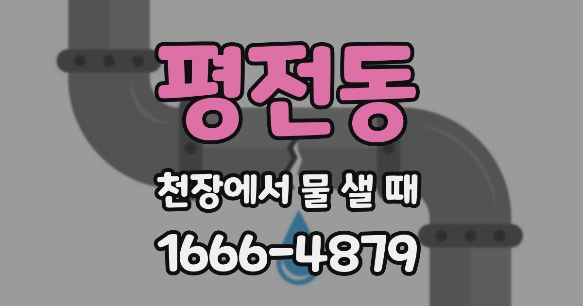 평전동 천장에서 물 샐 때