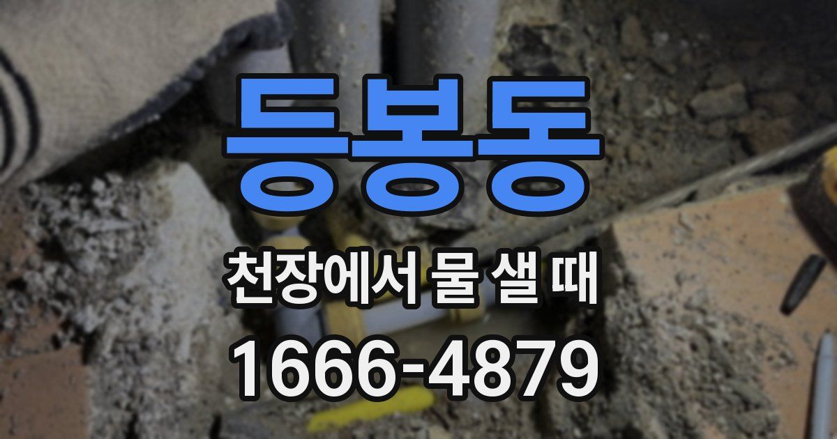 등봉동 천장에서 물 샐 때
