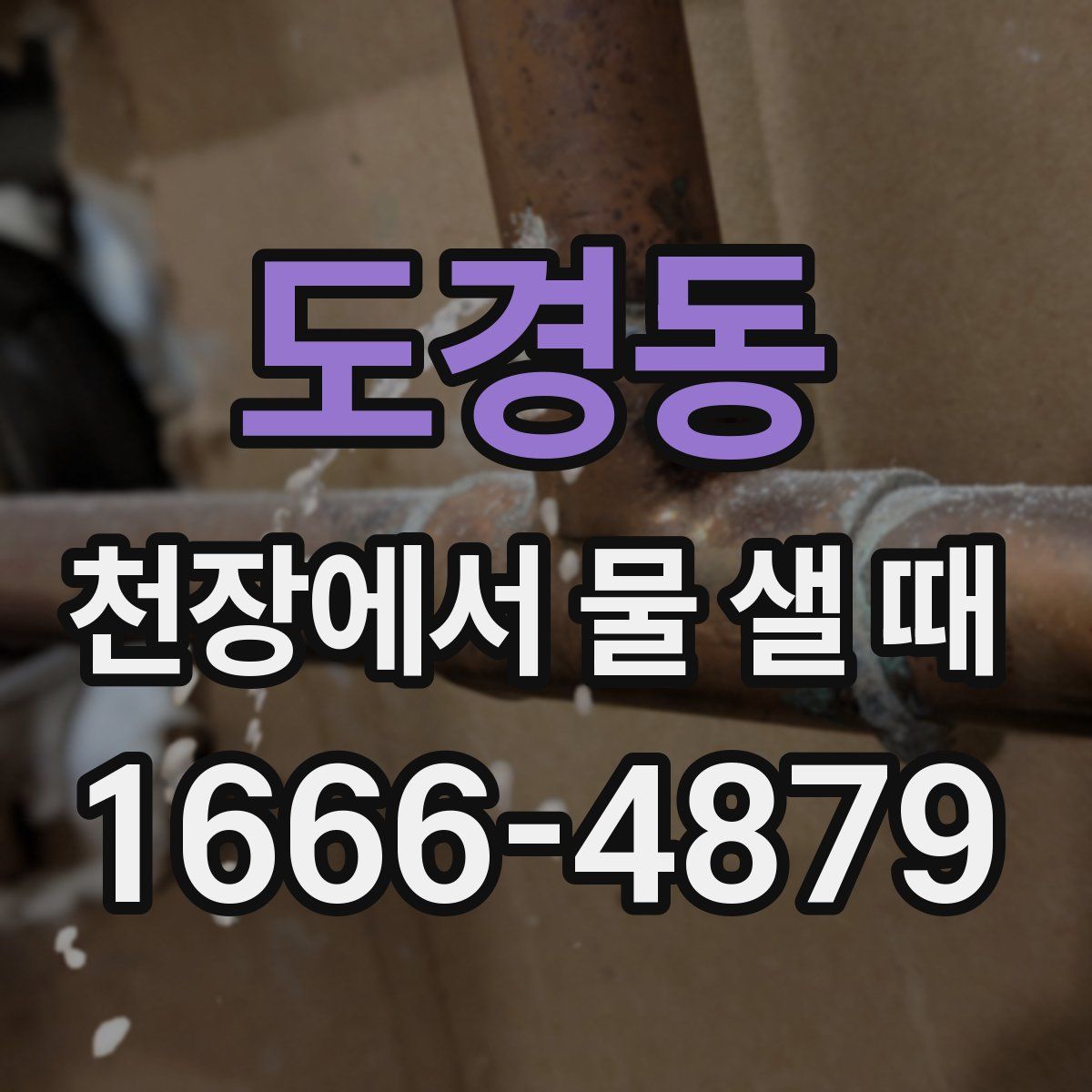 도경동 천장에서 물 샐 때