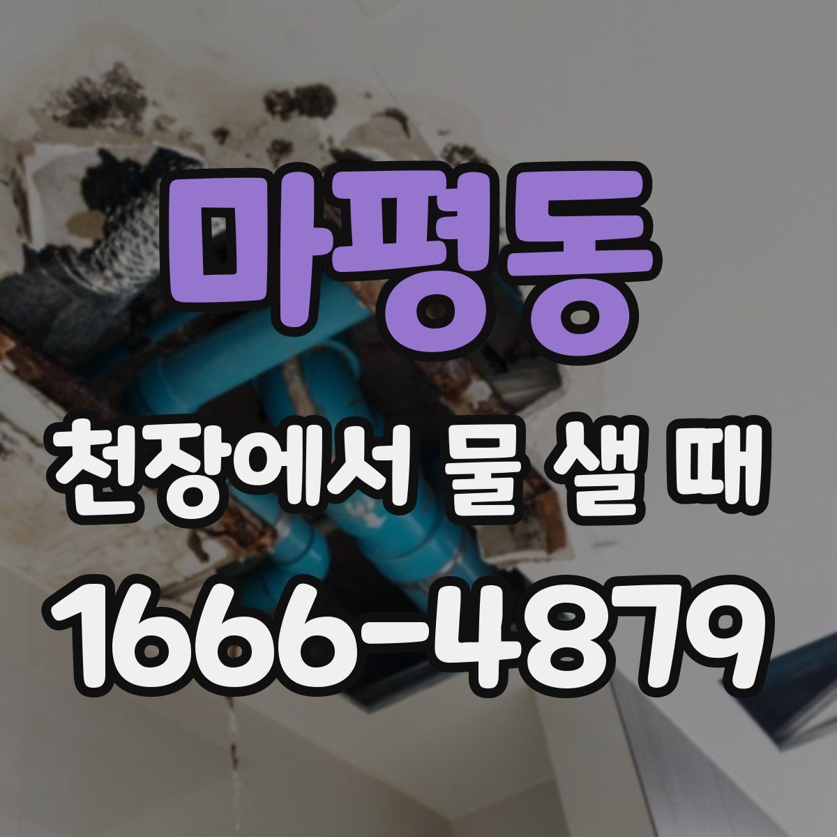 마평동 천장에서 물 샐 때