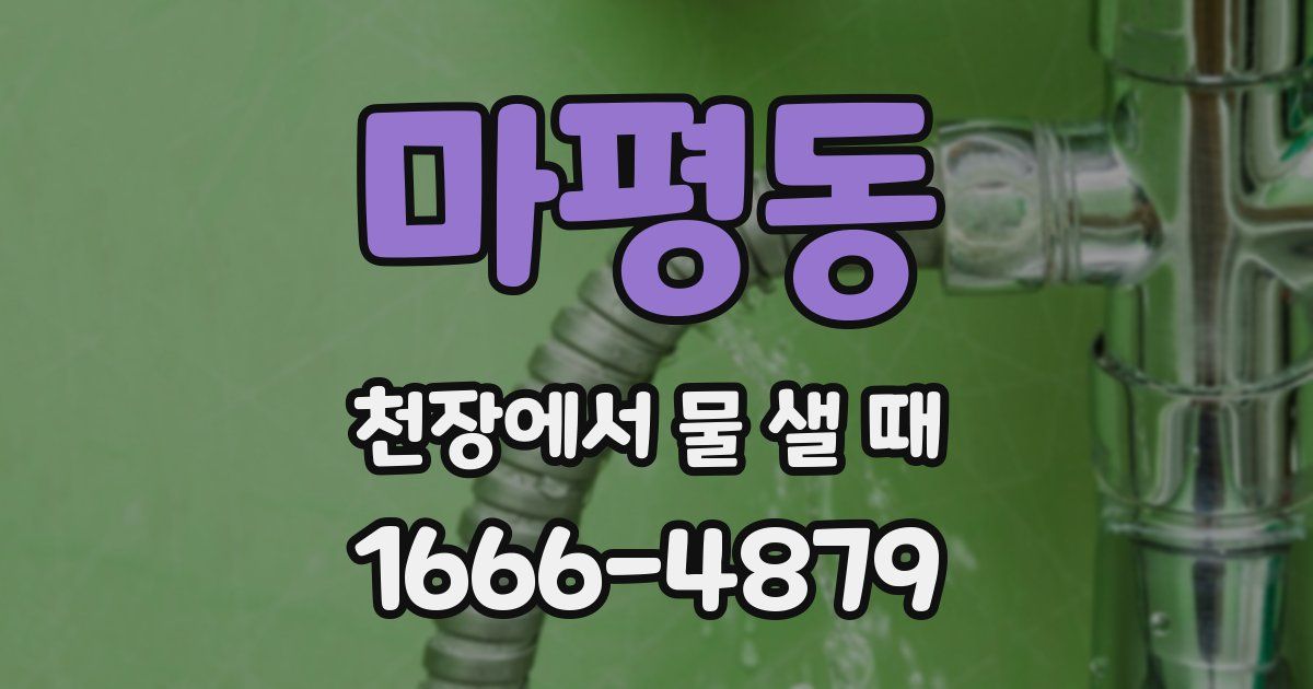 마평동 천장에서 물 샐 때