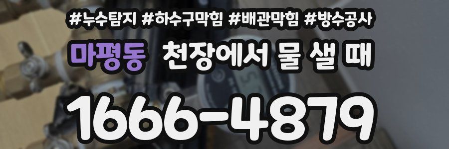 마평동 천장에서 물 샐 때
