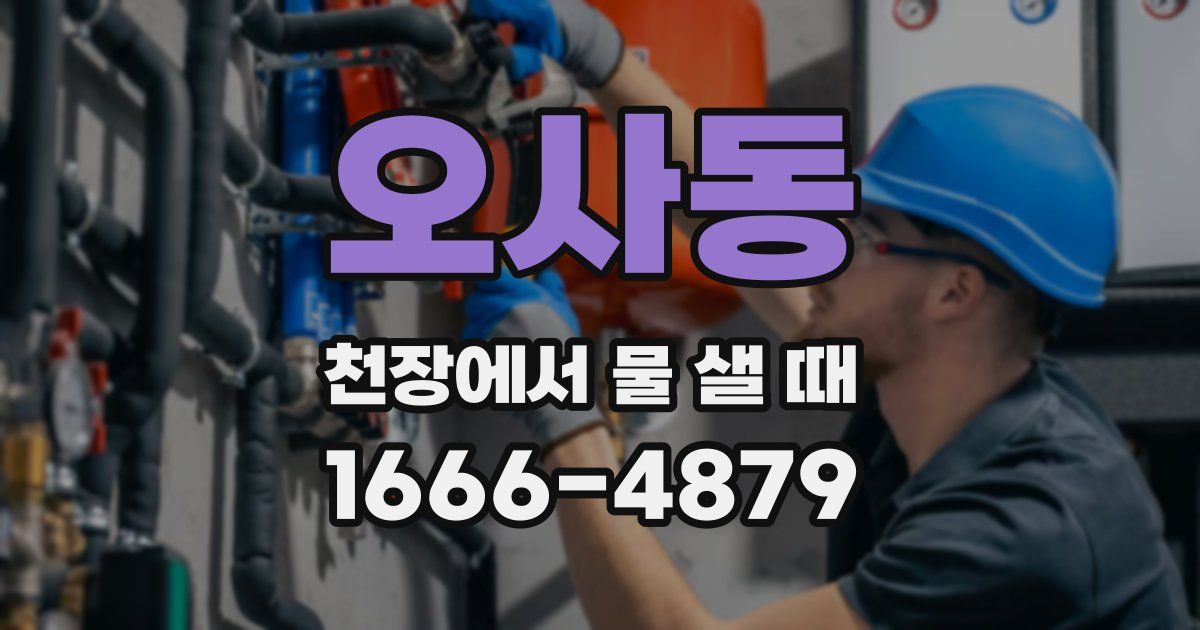 오사동 천장에서 물 샐 때