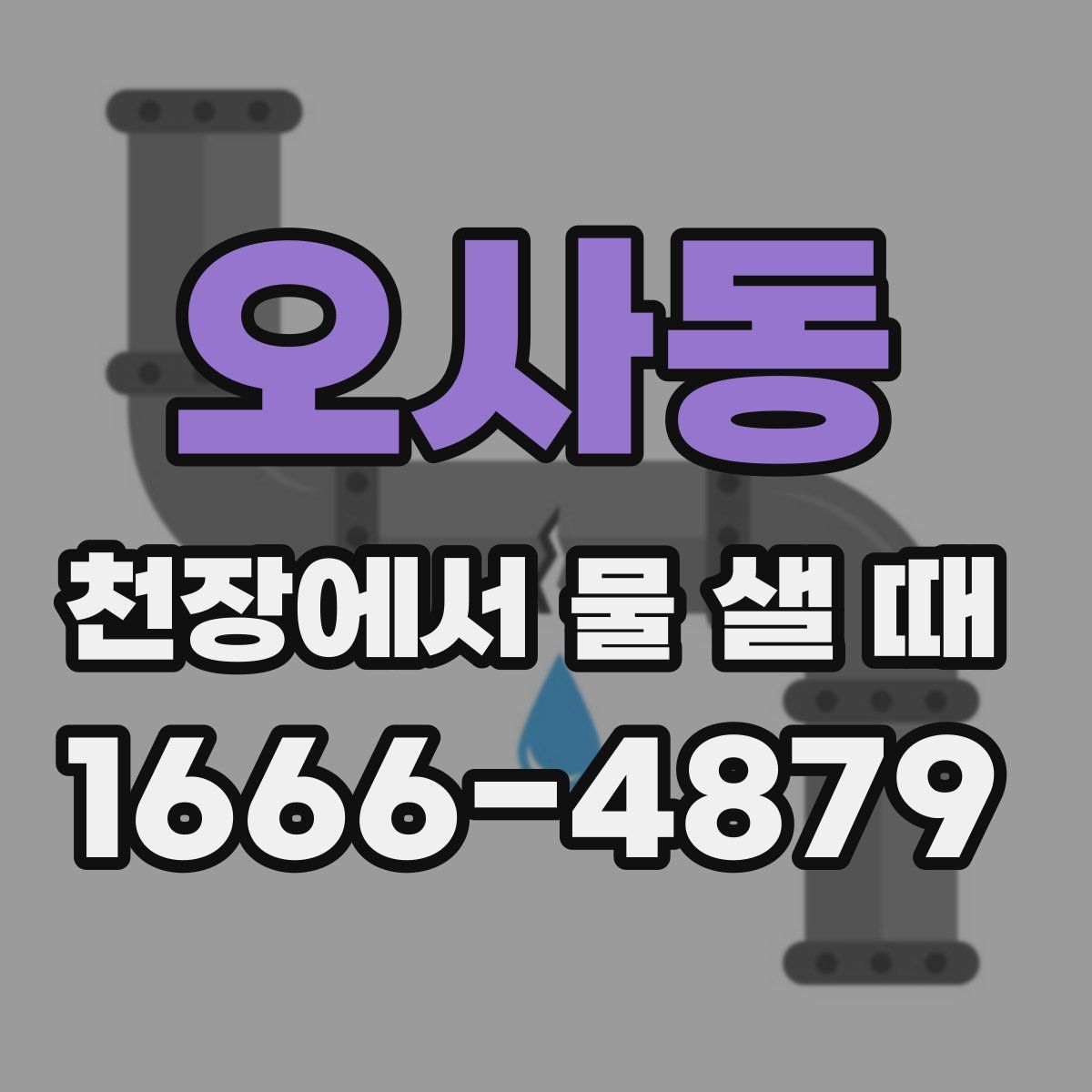 오사동 천장에서 물 샐 때