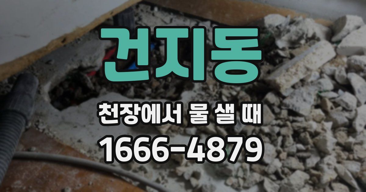 건지동 천장에서 물 샐 때