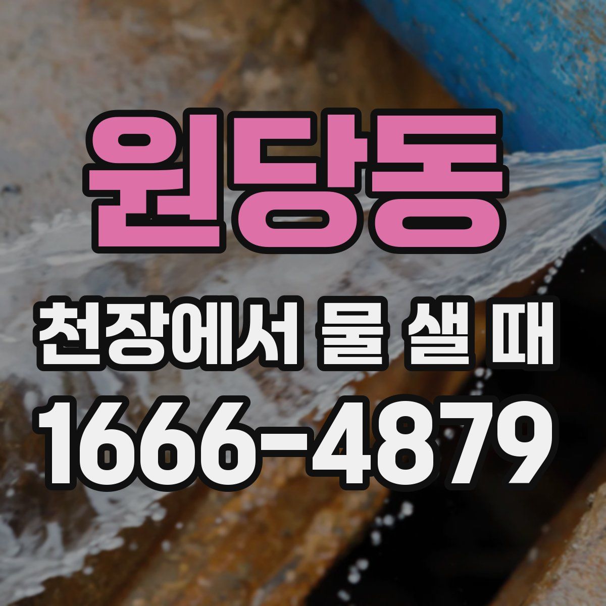 원당동 천장에서 물 샐 때