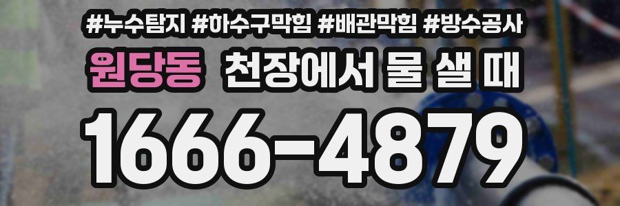 원당동 천장에서 물 샐 때