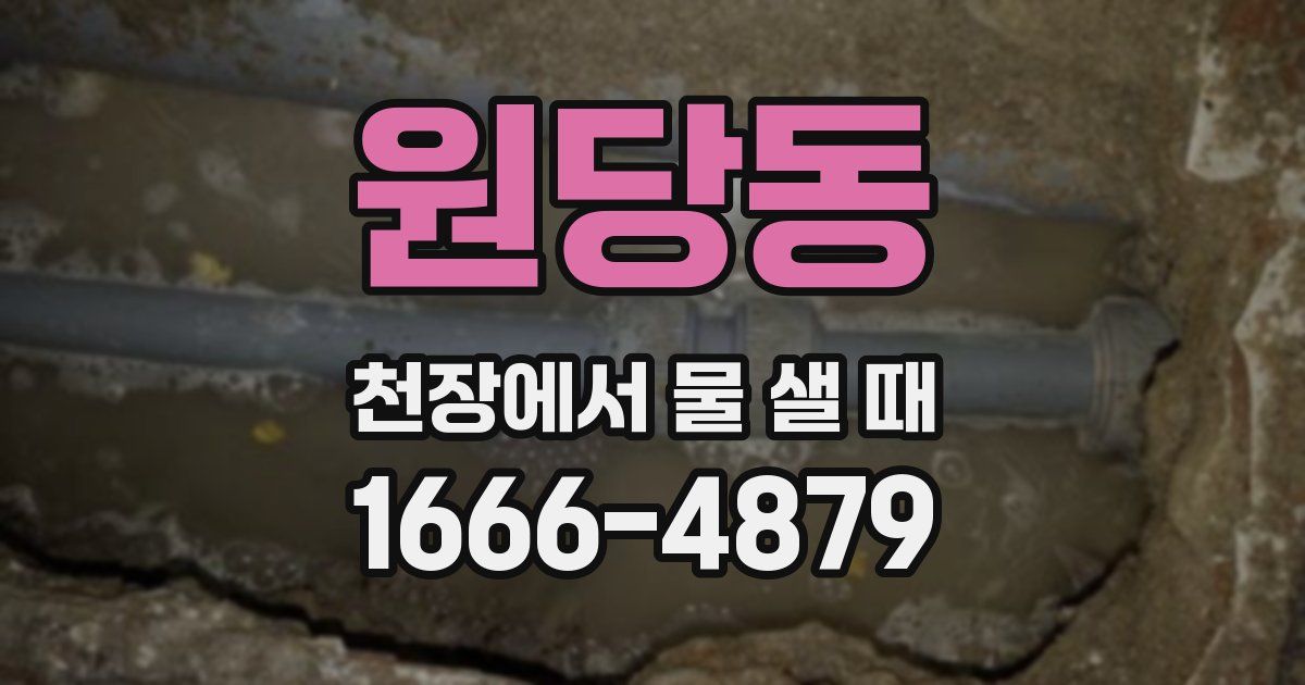 원당동 천장에서 물 샐 때
