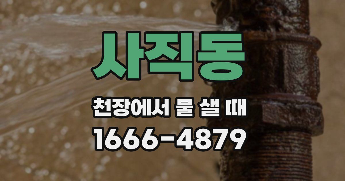 사직동 천장에서 물 샐 때