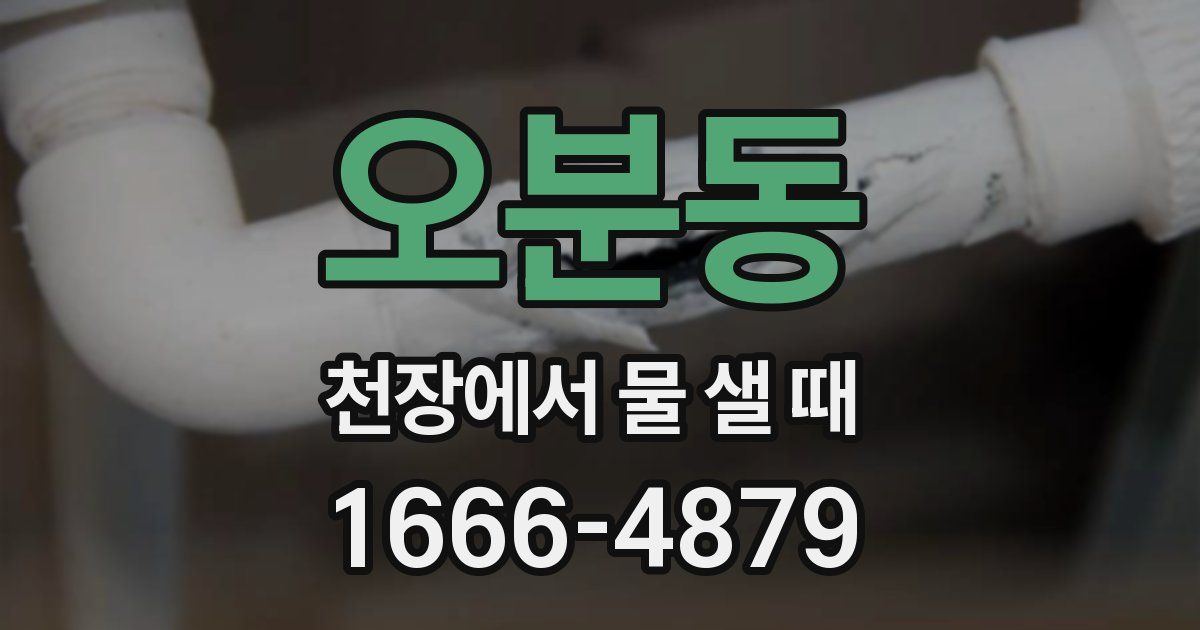 오분동 천장에서 물 샐 때