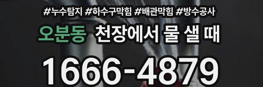 오분동 천장에서 물 샐 때