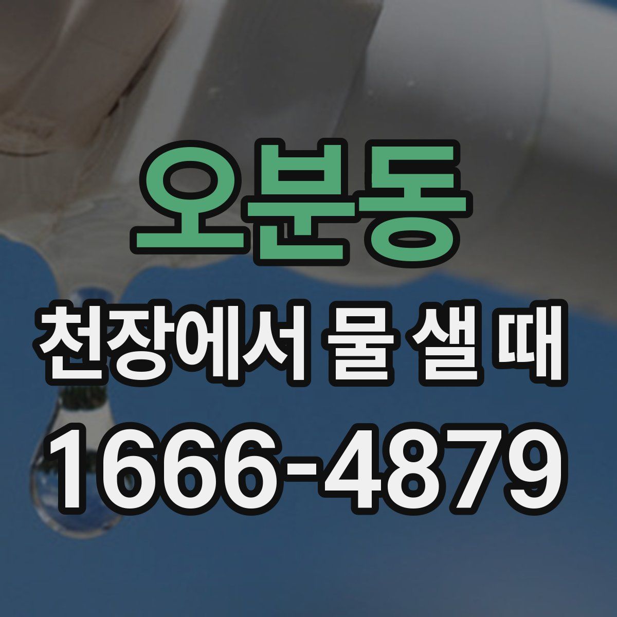 오분동 천장에서 물 샐 때