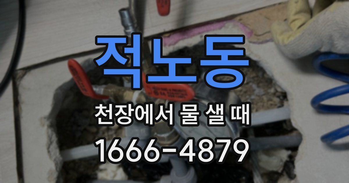 적노동 천장에서 물 샐 때