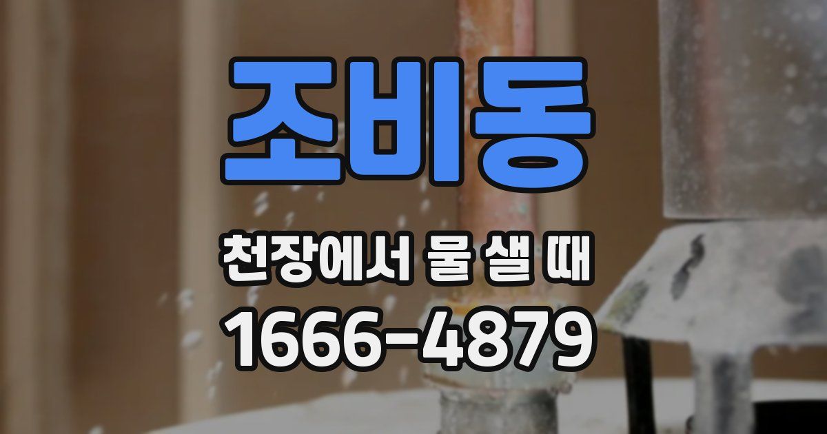 조비동 천장에서 물 샐 때