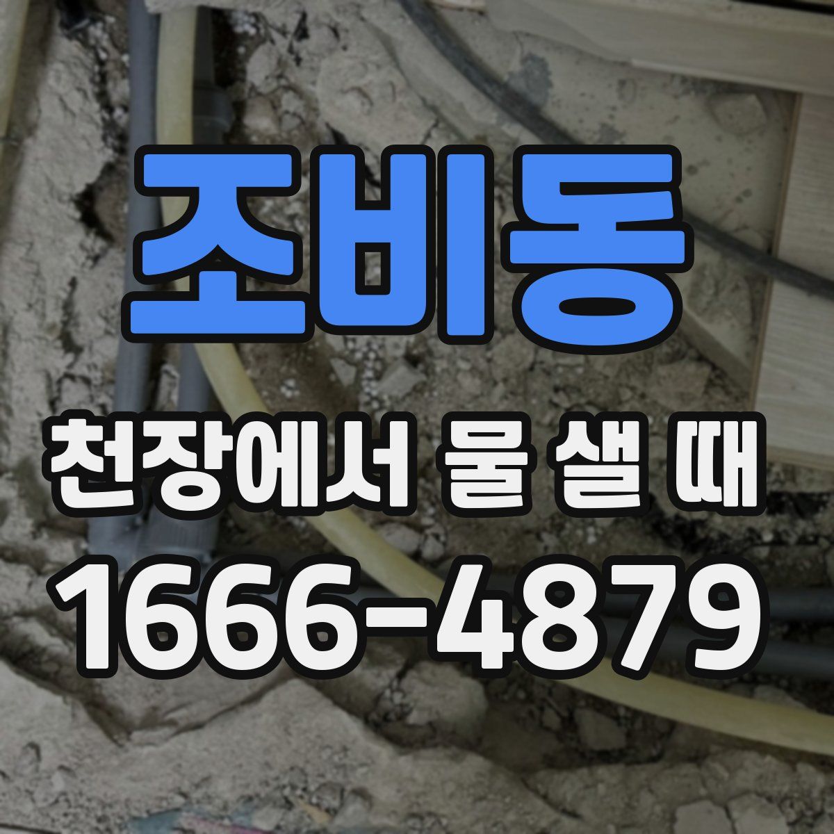 조비동 천장에서 물 샐 때