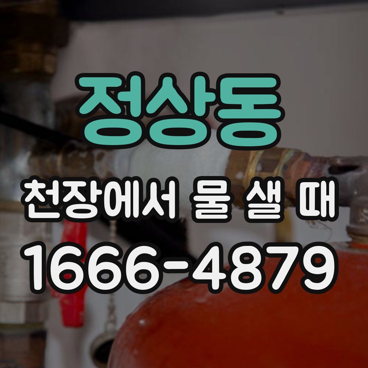 정상동 천장에서 물 샐 때